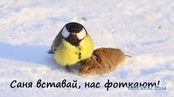 Удивительные снимки с российских просторов