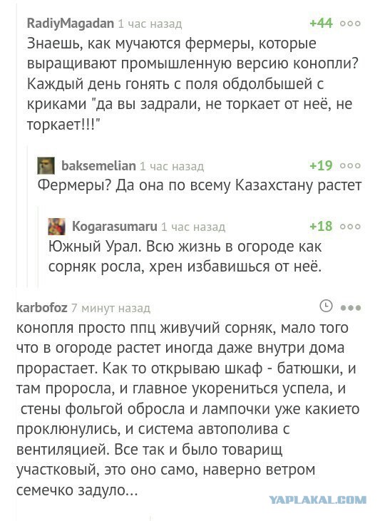 Кто-то в школе ботанику хорошо учил