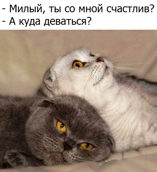 Подборка интересных и веселых картинок