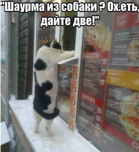Немного веселых картинок из этих наших интернетов