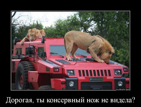 Немного веселых картинок к среде