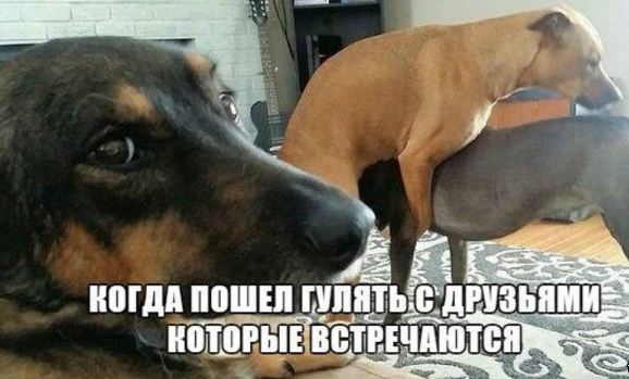 Нестандартный юмор