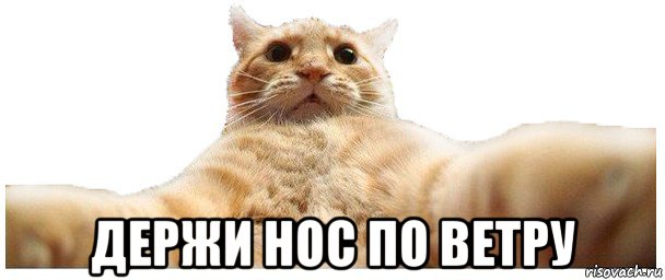 История болезни местной власти, часть 3