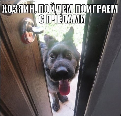 Отдыхаем от работы, в картинках без политоты.