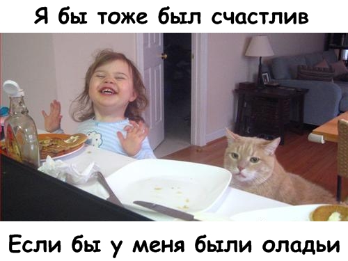 Lolcats - котовторник 33 лолокота!