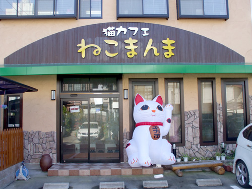 Котовторник