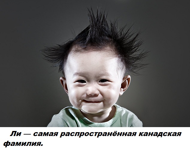 Подборка бесполезных фактов.
