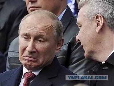 К новому году в России удвоилось количество усталых и грустных жителей