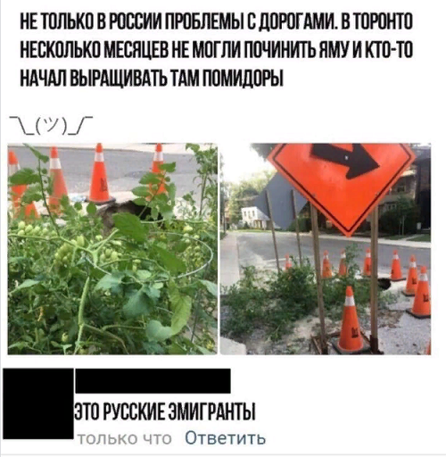 Анекдоты, соц-сети и картинки с надписями