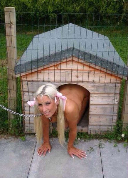 Скотсети и прочие интернеты 04.03.19