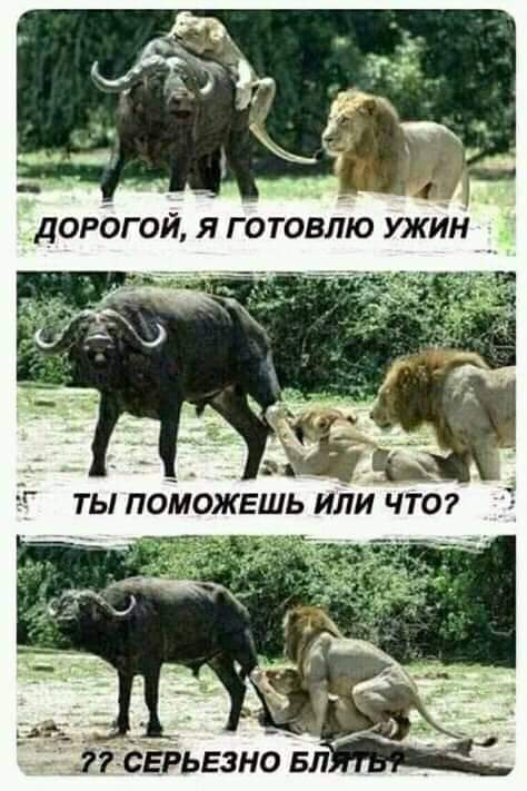 Картинки с надписями 3.08.19