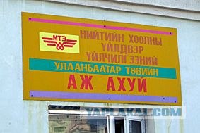 Конский напиток