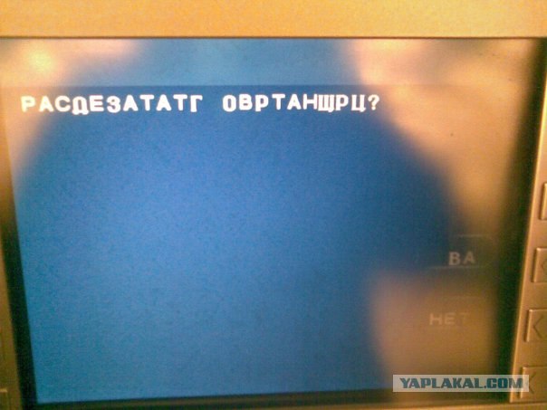 Как вам знание русского языка?