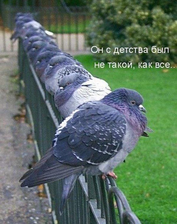 Чуток картинок.  Вечерние