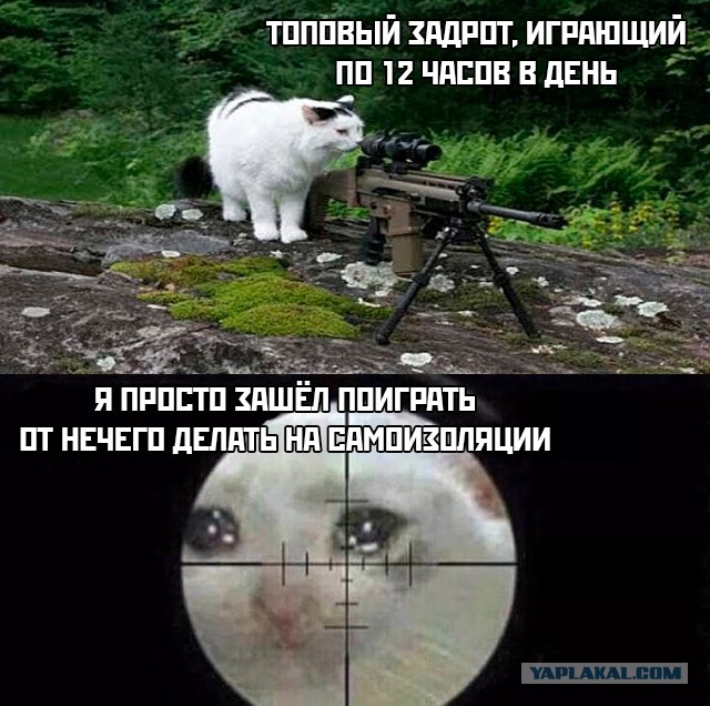 Бредзона 14.04.2020