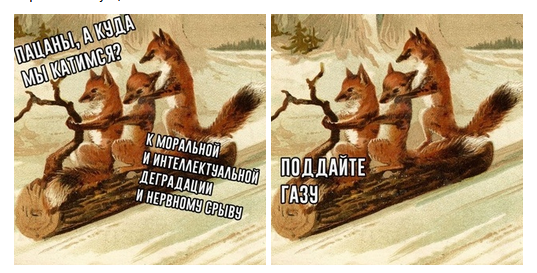 Почему мужчине обычно лучше не покупать жилье в семье на материнский капитал.