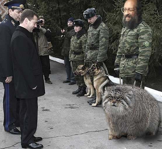 Фотожаба: Онотоле