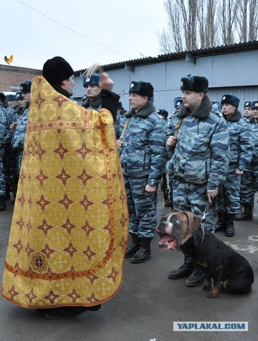 Во имя отца, сына....