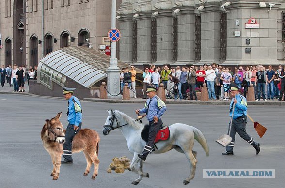 Гуляния в РБ 15.06: Фото и фотожабы