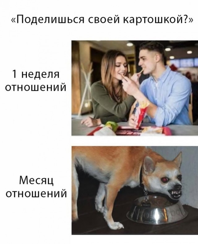 Давно не было солянки из картинок