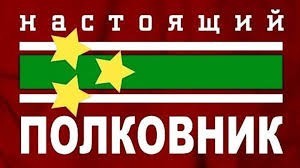 Гигантский ктырь: Элита боевой авиации среди насекомых. Охотник на шершней и ос