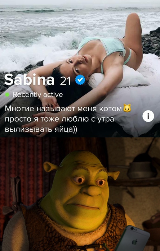 Весёлый полтишок 31.03