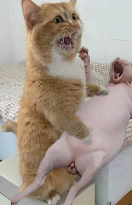 Наташа! Это кто?