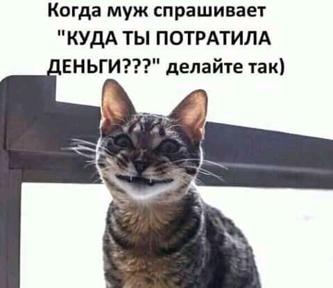Баянисто-небаянистый юмор 15.06.21