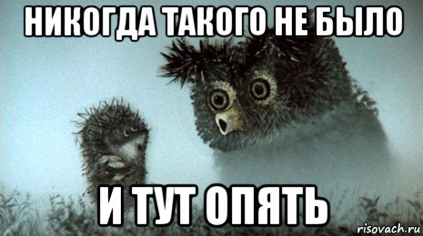 Прячет дом в Ницце: глава Росприроднадзора удалила ссылки о себе из поисковиков