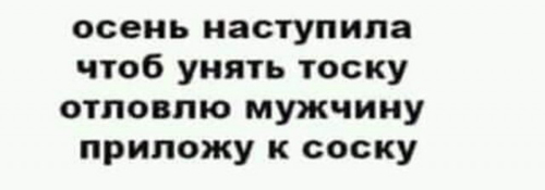 Весёлый полтишок 09.10