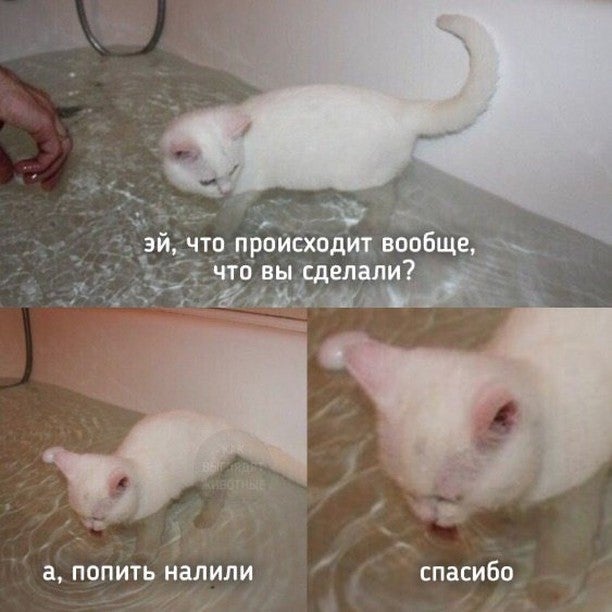 Чуток картинок 09.12.21