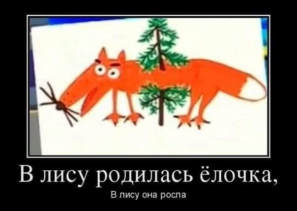 Смешные комментарии из социальных сетей 31.12.21