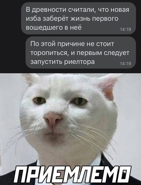 Человек собаке друг и другие картинки и мемы  под настроение