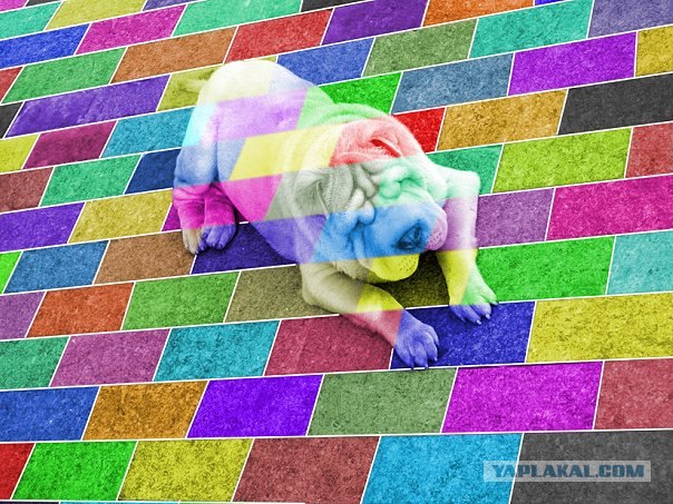 Любил раньше пофотошопить.