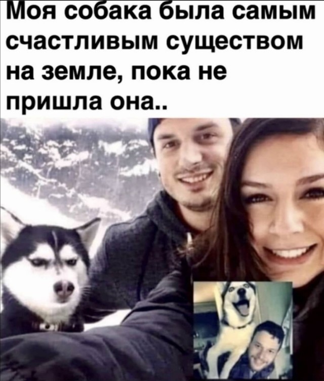 Так себе картинки 23.04.22