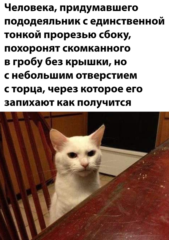 Весёлый полтишок 15.07.22