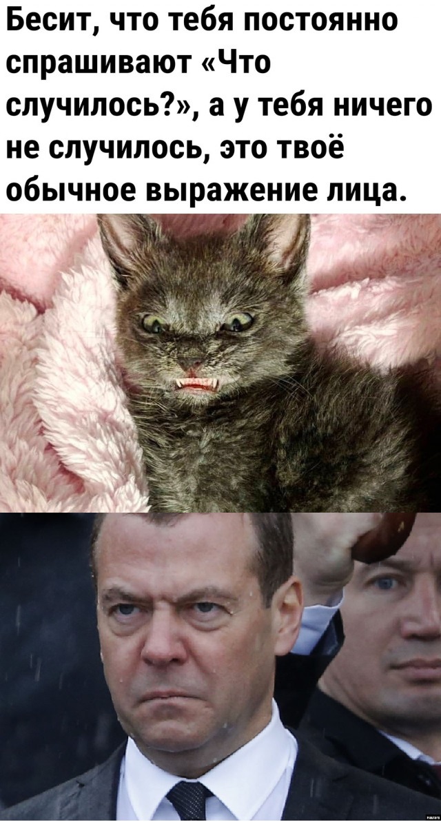 Так себе картинки 04.11.22