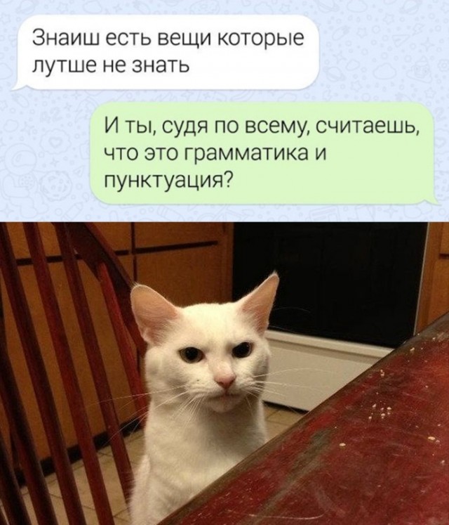 Картинки и мемы, всем хороших выходных
