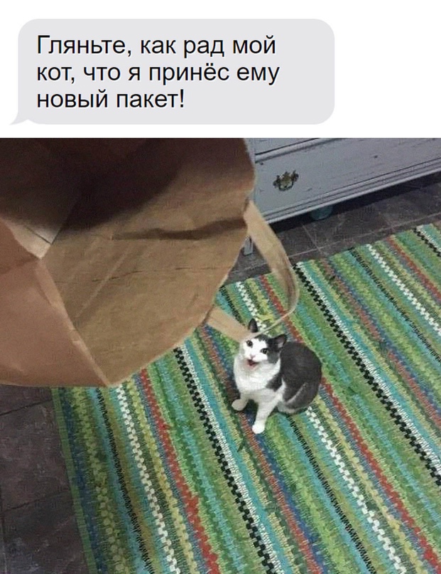 Немного картинок для настроения - 139