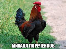 Пореченков "Я бы сам пошел добровольцем...но снят с воинского учёта."