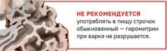 Строчки