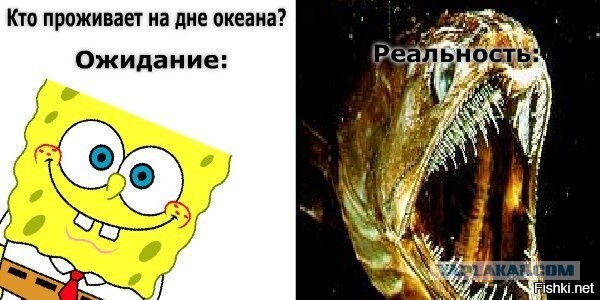 Что известно к этому часу о пропавшем батискафе?
