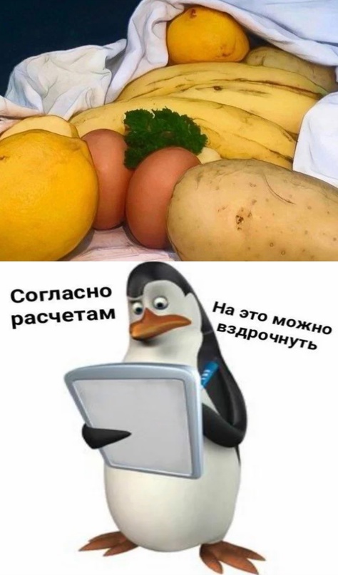 Весёлый полтишок 20.09.23