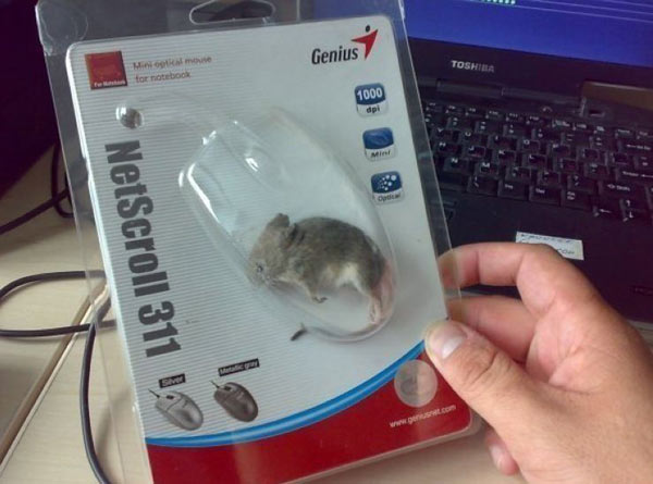 Фотоподпорка мирного времени