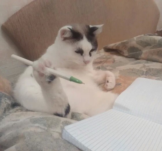 Буэнос ночиес!