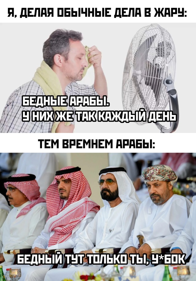 Весёлый полтишок 10.07.24