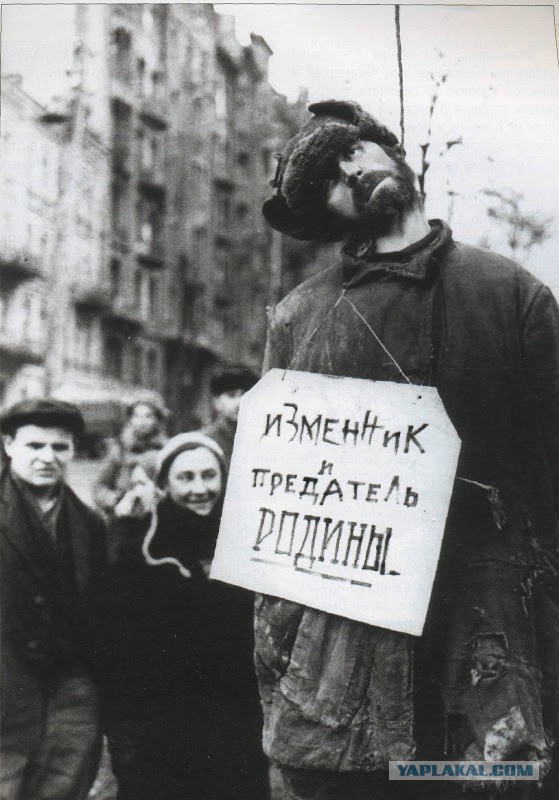 "Приютили" мигрантов.
