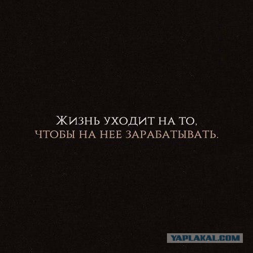 Путин заявил, что Россия будет оказывать поддержку сельскому хозяйству