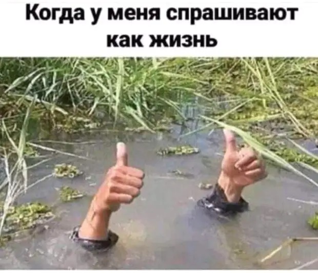 Папка с ответами