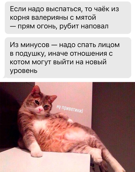 Картинки для деградации-6 (разной степени свежести)